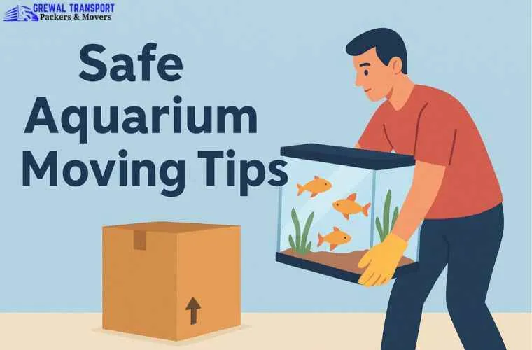 Safe Aquarium Moving Tips | Move a Fish Tank