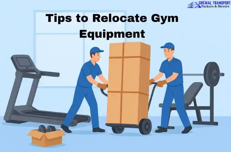 Gym Equipment Movers | Expert Packers and Movers Tips