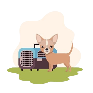 Best Pet Transport in Noida