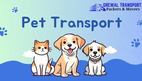Best Pet Transport in Jaipur