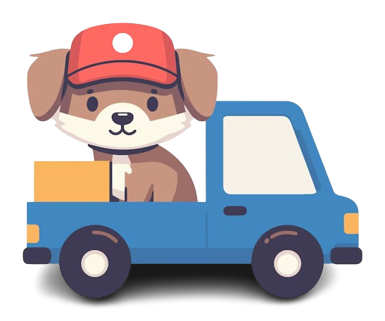Affordable Pet Relocation in Noida