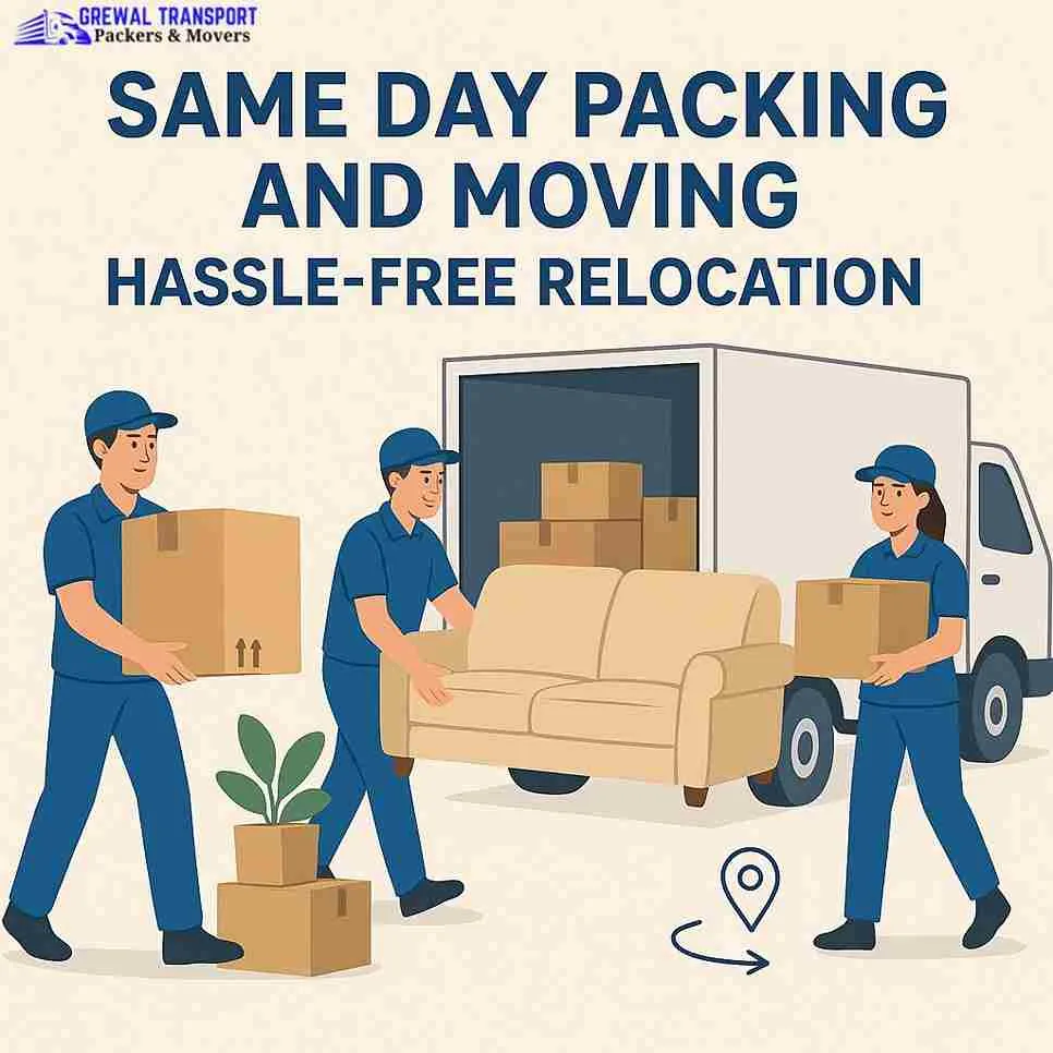 Best Packers Movers